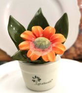 Profumina Margherita Alberelli Diffusore